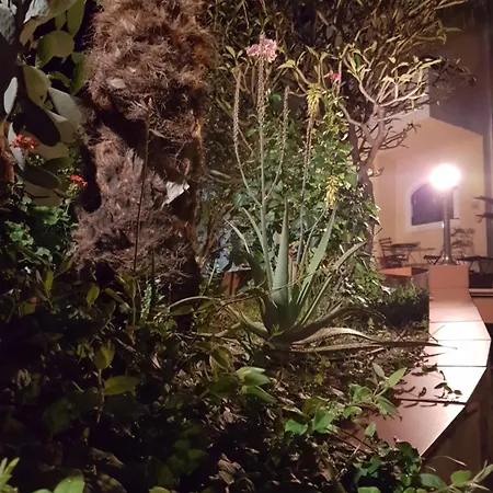 Elia & Tina Διαμέρισμα *